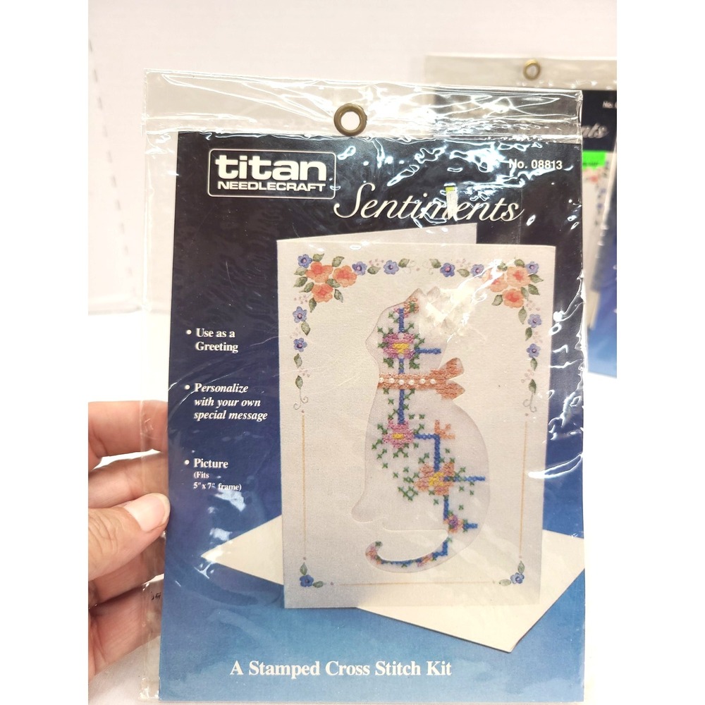 Titan Needlecraft Sentiments A Stamped Cross Stitch Kit No. 08813‎ Cat